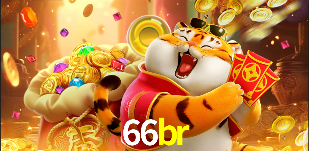 66br.com